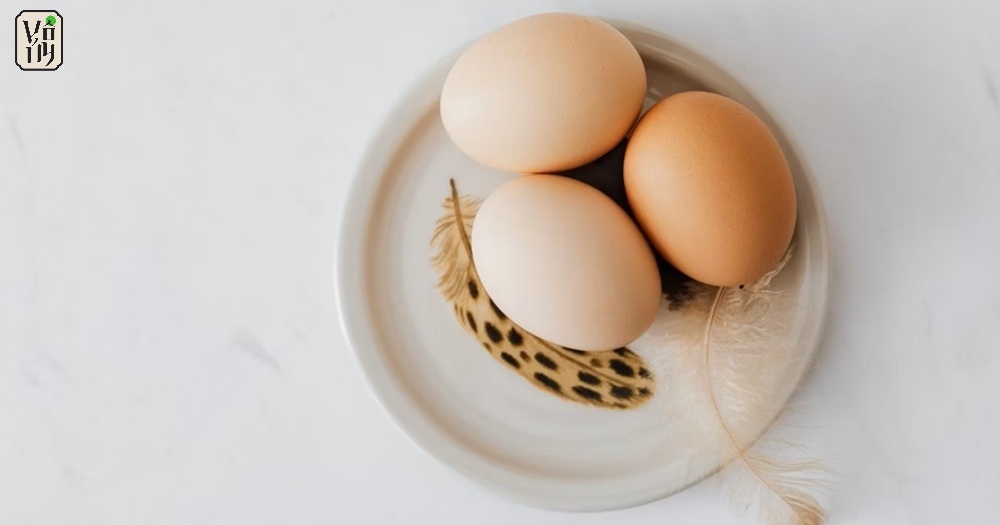 Can Vegetarians Eat Eggs?