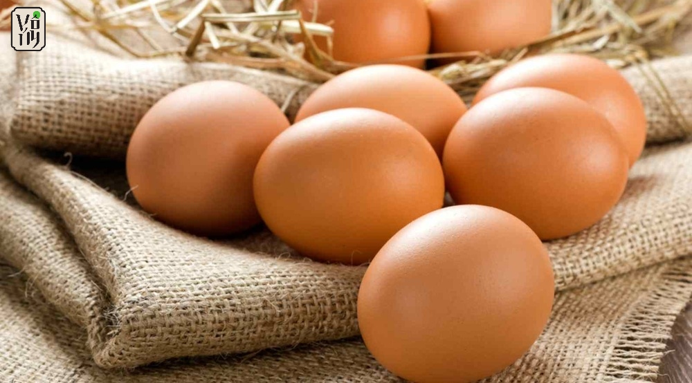 Ăn chay có được ăn trứng không theo quan điểm Phật giáo