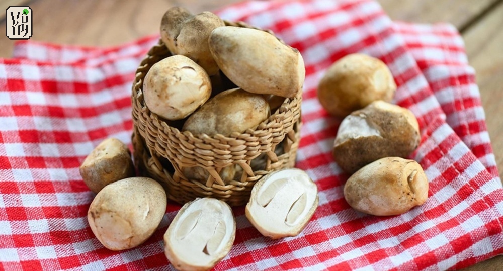 Nấm rơm tươi