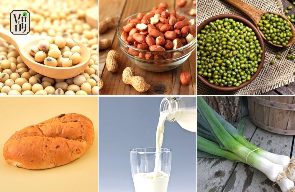 Cách làm pate chay từ đậu nành, đậu xanh, đậu phộng kết hợp bánh mì khô giàu dinh dưỡng