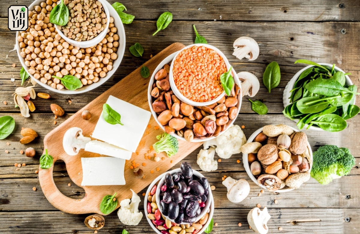 Đạm thực vật là gì?