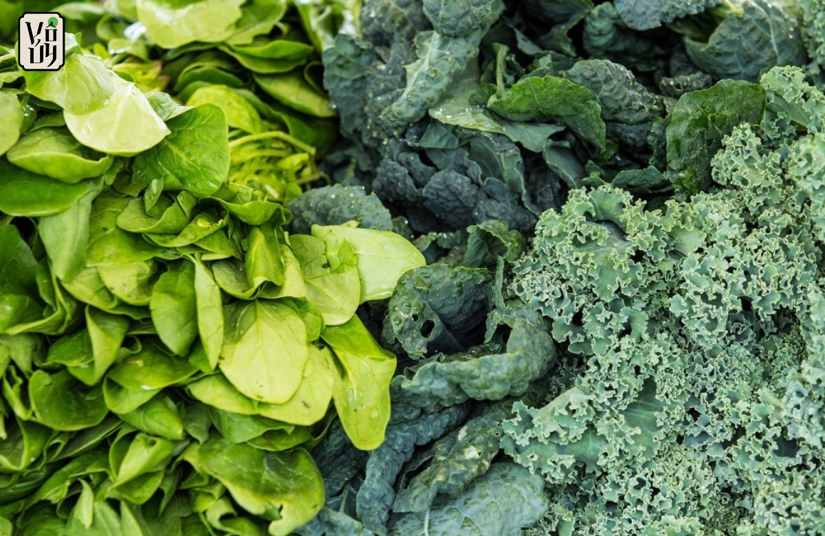 Các loại rau có màu xanh lá đậm - Giàu protein