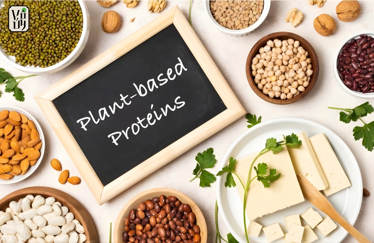 Lưu ý khi ăn chay bằng đạm thực vật