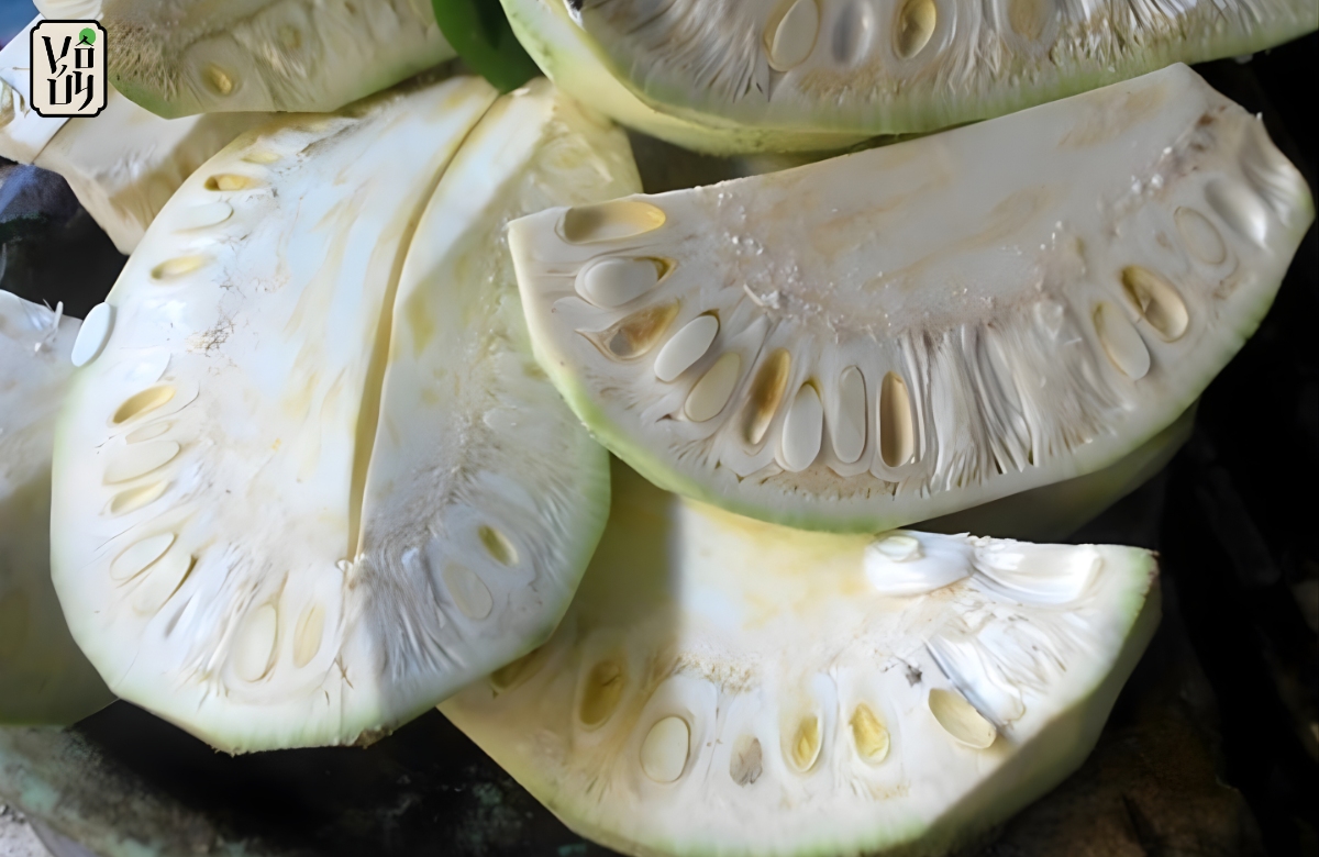 Mít non – Nguyên liệu quen thuộc trong ẩm thực chay Việt