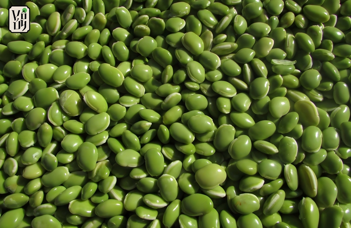 Cách chọn mua đậu xanh ngon