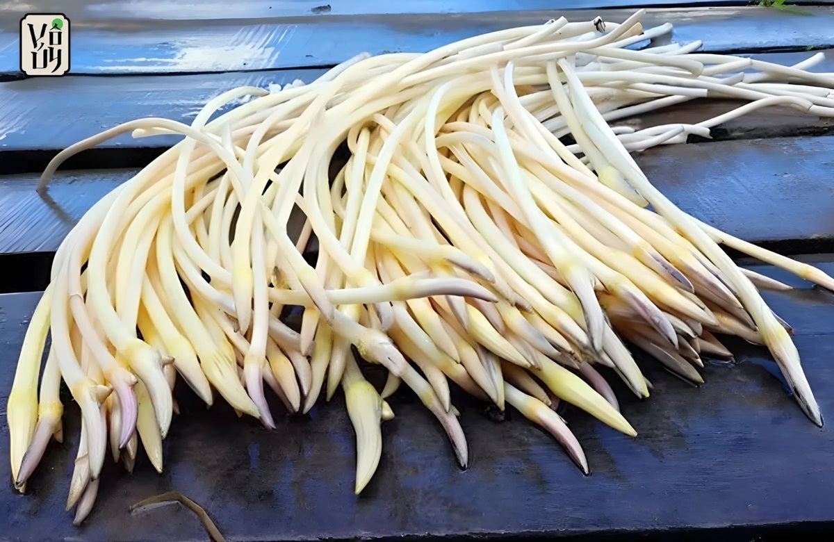 Tips for Choosing Ingredients for Lotus Stem Salad