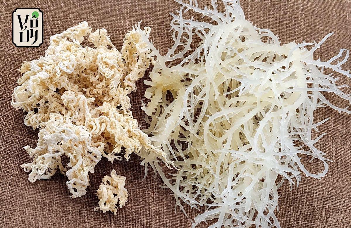 Rong biển dùng để làm gỏi rong biển