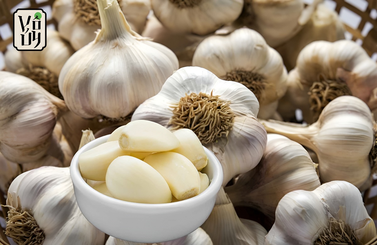 Thành phần dinh dưỡng có trong tỏi